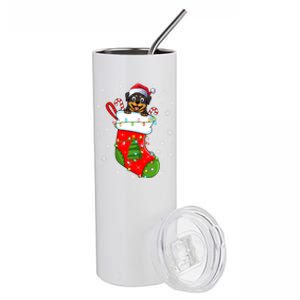 Rottweiler Dog In Christmas Sock Funny Santa Rottweiler Xmas Cool Gift Stainless Steel Tumbler