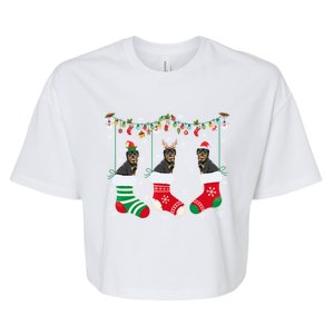 Rottweiler Dog In Christmas Socks Santa Hat Lights Sweater Gift Bella+Canvas Jersey Crop Tee