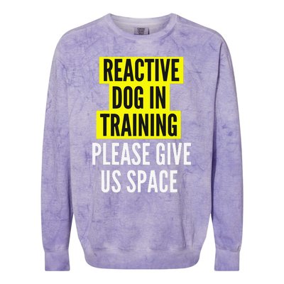 Reactive Dog In Training & Nervous Dog Owners BOTH SIDES Colorblast Crewneck Sweatshirt