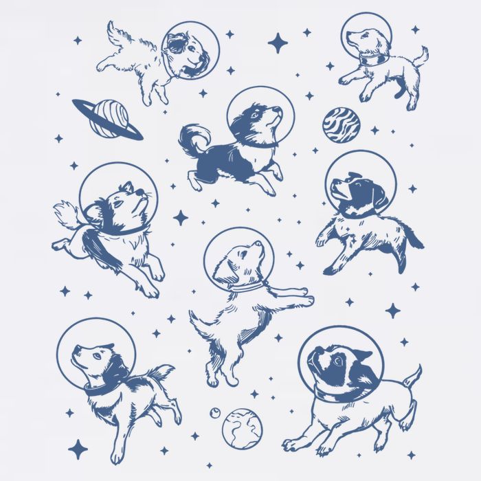 Retro Dogs In Space Funny Galaxy T-Shirt