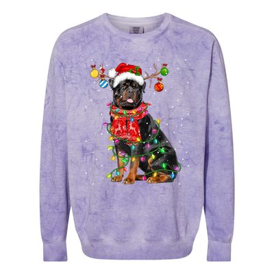 Rottweiler Dog Lover Santa Hat Christmas Xmas Lights Funny Gift Colorblast Crewneck Sweatshirt