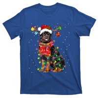 Rottweiler Dog Lover Santa Hat Christmas Xmas Lights Funny Gift T-Shirt