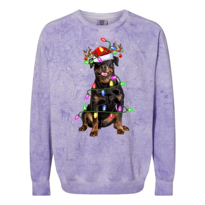 Rottweiler Dog Lover Xmas Lights Santa Rottweiler Christmas Gift Colorblast Crewneck Sweatshirt