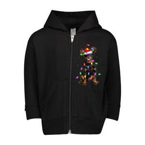 Rottweiler Dog Lover Xmas Lights Santa Rottweiler Christmas Gift Toddler Zip Fleece Hoodie