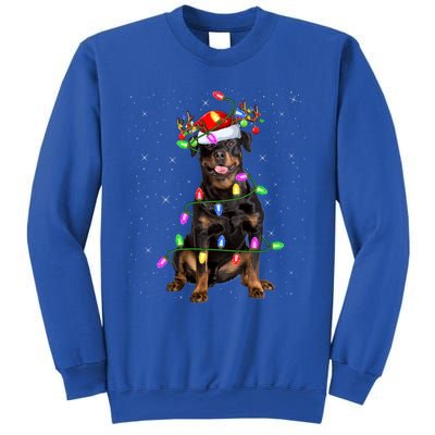 Rottweiler Dog Lover Xmas Lights Santa Rottweiler Christmas Gift Sweatshirt