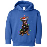 Rottweiler Dog Lover Xmas Lights Santa Rottweiler Christmas Gift Toddler Hoodie