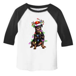 Rottweiler Dog Lover Xmas Lights Santa Rottweiler Christmas Gift Toddler Fine Jersey T-Shirt