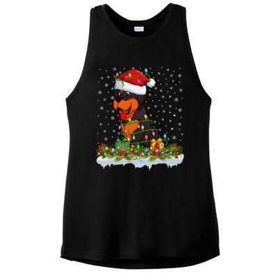 Rottweiler Dog Lover Xmas Lights Santa Rottweiler Christmas Cute Gift Ladies PosiCharge Tri-Blend Wicking Tank