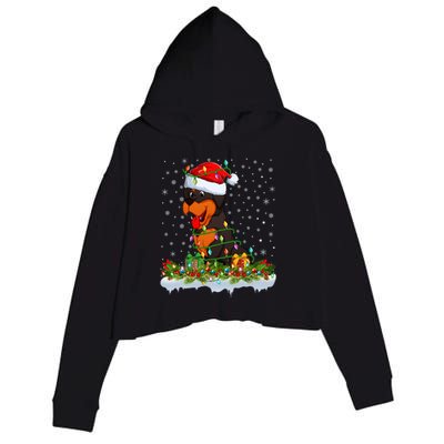 Rottweiler Dog Lover Xmas Lights Santa Rottweiler Christmas Cute Gift Crop Fleece Hoodie