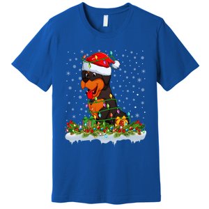 Rottweiler Dog Lover Xmas Lights Santa Rottweiler Christmas Cute Gift Premium T-Shirt