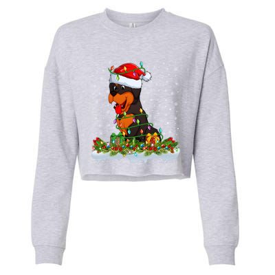 Rottweiler Dog Lover Xmas Lights Santa Rottweiler Christmas Cute Gift Cropped Pullover Crew