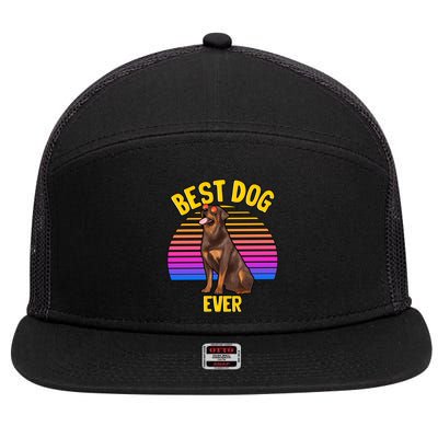 Rottweiler Dog Lover Funny Cute Best Dog Puppy Lover Gift 7 Panel Mesh Trucker Snapback Hat