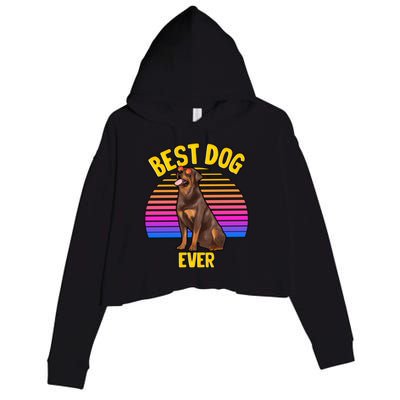 Rottweiler Dog Lover Funny Cute Best Dog Puppy Lover Gift Crop Fleece Hoodie