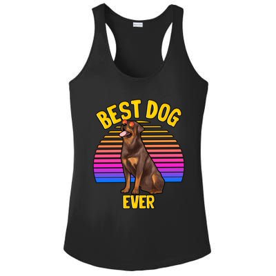 Rottweiler Dog Lover Funny Cute Best Dog Puppy Lover Gift Ladies PosiCharge Competitor Racerback Tank