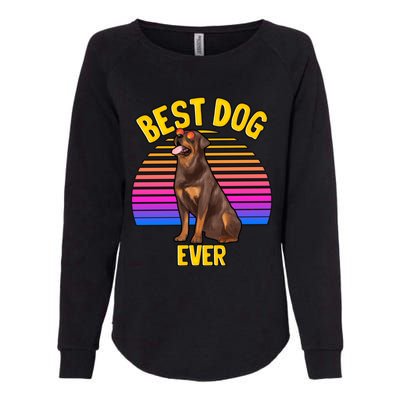 Rottweiler Dog Lover Funny Cute Best Dog Puppy Lover Gift Womens California Wash Sweatshirt