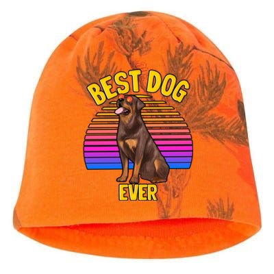 Rottweiler Dog Lover Funny Cute Best Dog Puppy Lover Gift Kati - Camo Knit Beanie