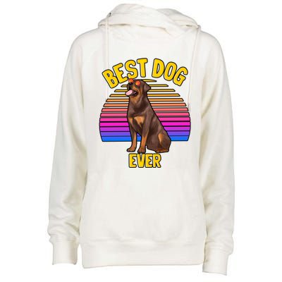 Rottweiler Dog Lover Funny Cute Best Dog Puppy Lover Gift Womens Funnel Neck Pullover Hood