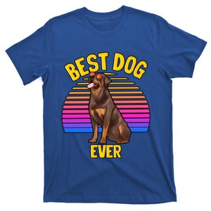 Rottweiler Dog Lover Funny Cute Best Dog Puppy Lover Gift T-Shirt