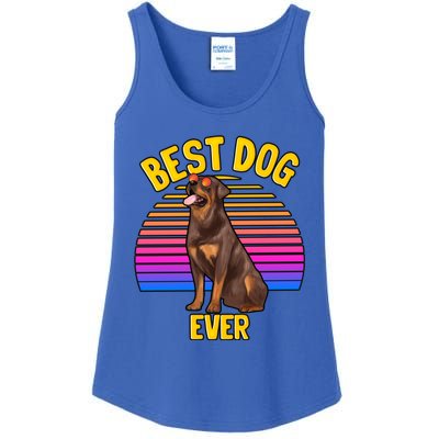 Rottweiler Dog Lover Funny Cute Best Dog Puppy Lover Gift Ladies Essential Tank