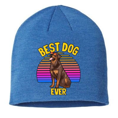 Rottweiler Dog Lover Funny Cute Best Dog Puppy Lover Gift Sustainable Beanie