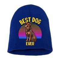 Rottweiler Dog Lover Funny Cute Best Dog Puppy Lover Gift Short Acrylic Beanie