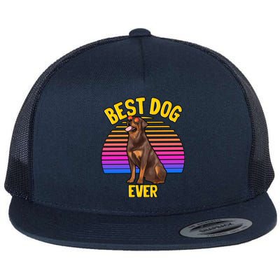 Rottweiler Dog Lover Funny Cute Best Dog Puppy Lover Gift Flat Bill Trucker Hat