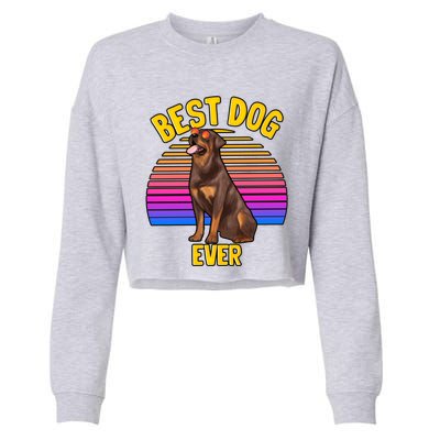 Rottweiler Dog Lover Funny Cute Best Dog Puppy Lover Gift Cropped Pullover Crew