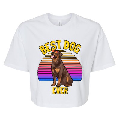 Rottweiler Dog Lover Funny Cute Best Dog Puppy Lover Gift Bella+Canvas Jersey Crop Tee