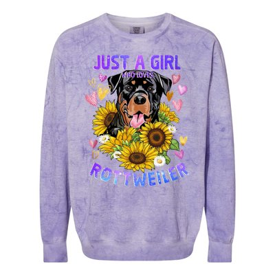 Rottweiler Dog Lover Funny Cute Puppy Gift Colorblast Crewneck Sweatshirt