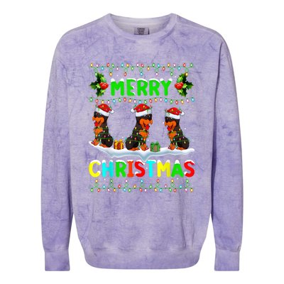 Rottweiler Dog Lighting Santa Hat Merry Christmas Rottweiler Colorblast Crewneck Sweatshirt