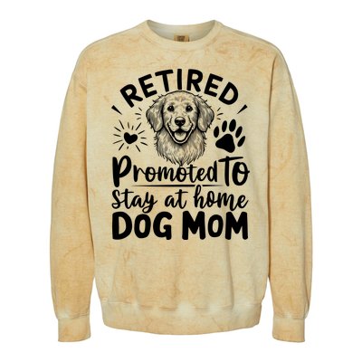 Retired Dog Mom Colorblast Crewneck Sweatshirt