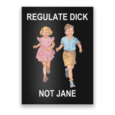 Regulate Dick Not Jane Vintage Funny Gift Poster