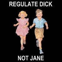 Regulate Dick Not Jane Vintage Funny Gift Visor