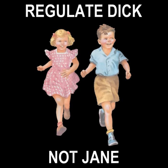Regulate Dick Not Jane Vintage Funny Gift Visor