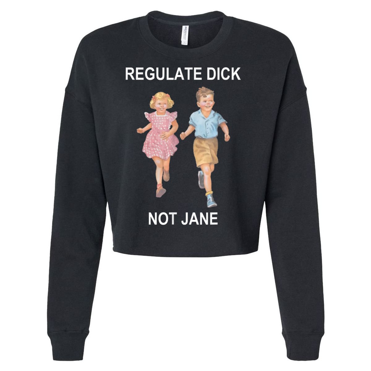 Regulate Dick Not Jane Vintage Funny Gift Cropped Pullover Crew