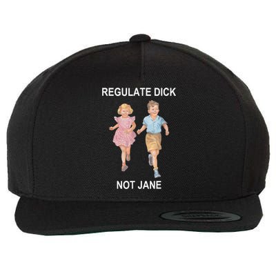 Regulate Dick Not Jane Vintage Funny Gift Wool Snapback Cap