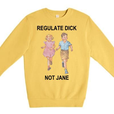 Regulate Dick Not Jane Premium Crewneck Sweatshirt