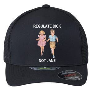 Regulate Dick Not Jane Flexfit Unipanel Trucker Cap