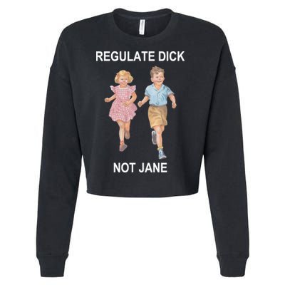 Regulate Dick Not Jane Cropped Pullover Crew