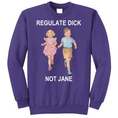 Regulate Dick Not Jane Sweatshirt