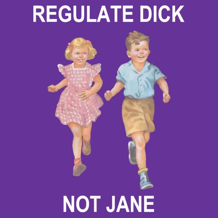 Regulate Dick Not Jane Toddler T-Shirt