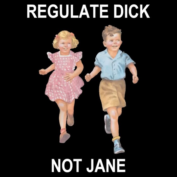 Regulate Dick Not Jane Premium T-Shirt