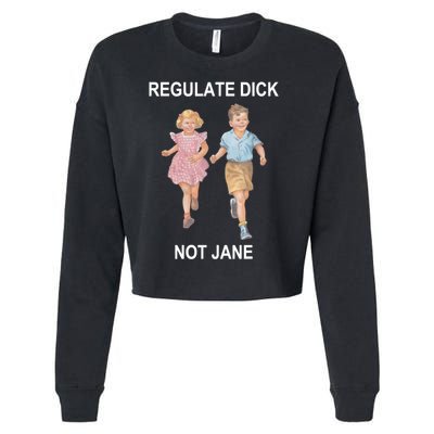 Regulate Dick Not Jane Cropped Pullover Crew