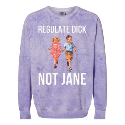 Regulate Dick Not Janes Colorblast Crewneck Sweatshirt