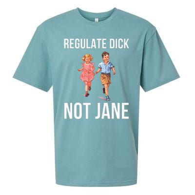 Regulate Dick Not Janes Sueded Cloud Jersey T-Shirt