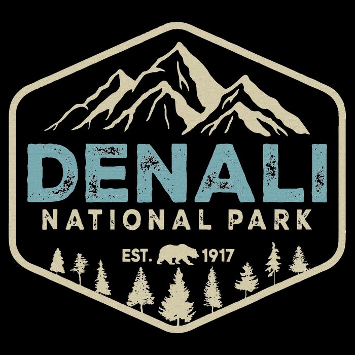 Retro Denali National Park Mountains Nature Vintage Hiking Button