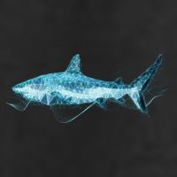 Retro Digital Polygon Shark Adult Drive Performance Visor