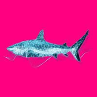 Retro Digital Polygon Shark Women's V-Neck T-Shirt