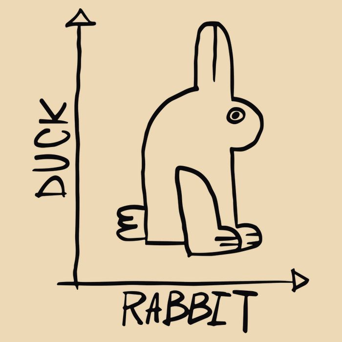 Rabbit Duck Drawstring Bag