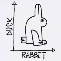 Rabbit Duck Bucket Hat